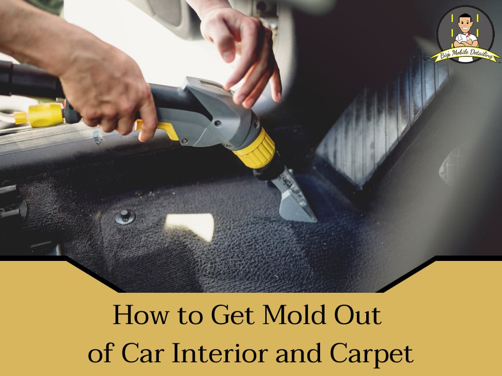 how to remove mold from car interior